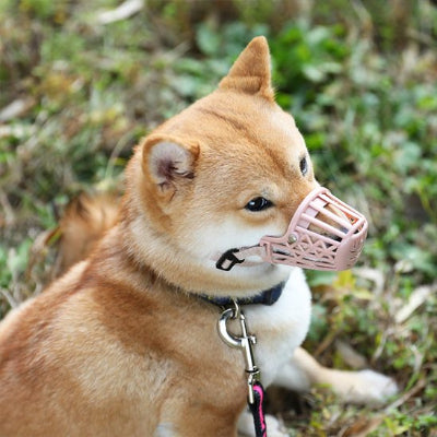 Muselière chien à panier confort et bien être