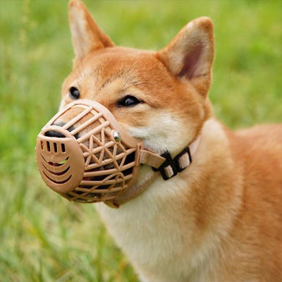 Muselière chien à panier en brun