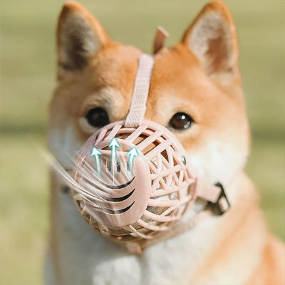 Muselière chien à panier securité optimale