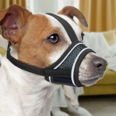 Muselière chien ajustable reglable