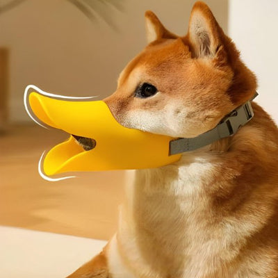 Muselière chien bec long
