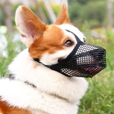 Muselière chien douce en maille 