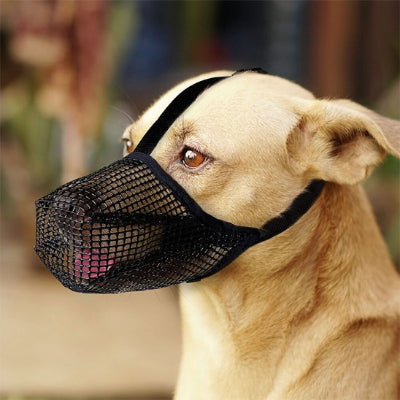 Muselière chien douce et pliable