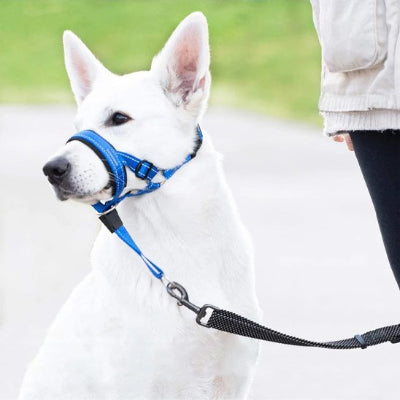 Muselière chien en nylon anti aboiement