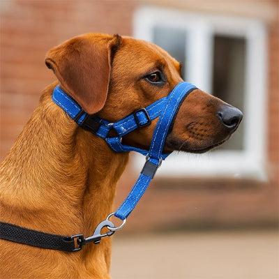 Muselière chien​ en nylon confortable