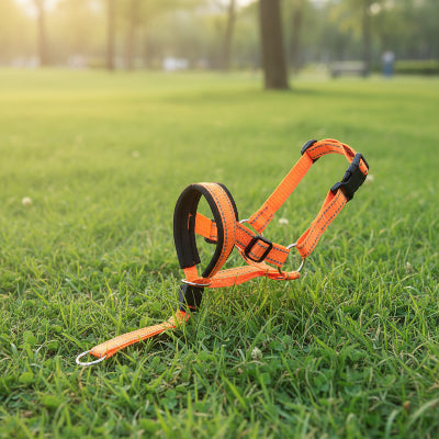museliere chien en nylon couleur orange