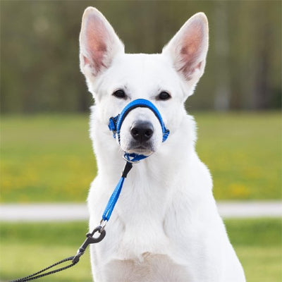 Muselière chien​ en nylon empeche de tirer 