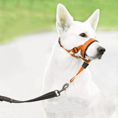 Muselière chien​ en nylon pour entrainement 