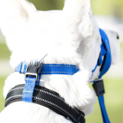 muselière chien en nylon securitaire