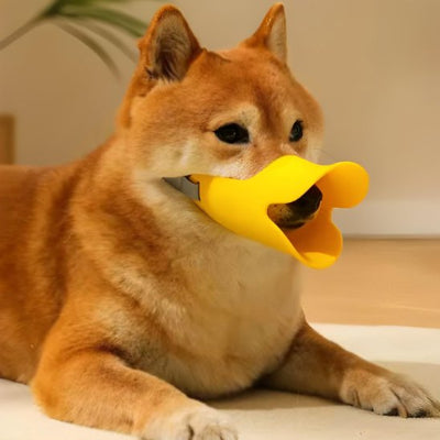 Muselière chien en silicone jaune