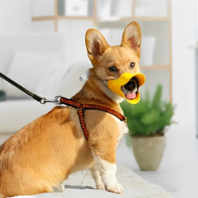 Muselière chien en silicone  sangle reglable
