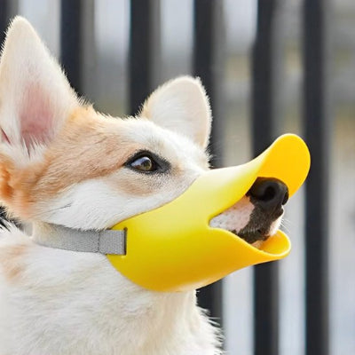 Muselière chien en silicone souple 