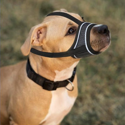 Muselière chien matière de qualité