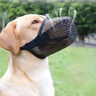 Muselière chien resistant durable