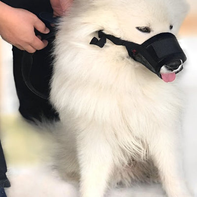 Muselière pour chien anti aboiement