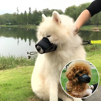 Muselière pour chien en filet ajustable