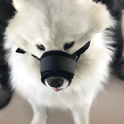 Muselière pour chien en filet en noire