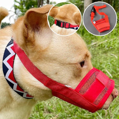 Muselière pour chien en filet  réglable