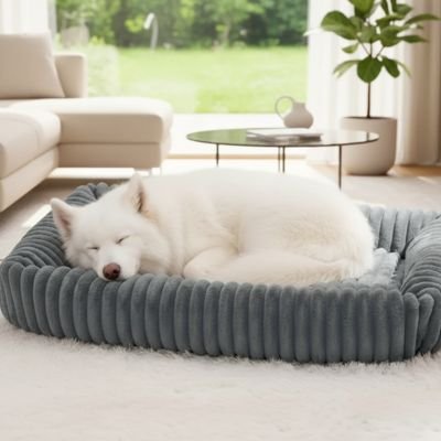 Panier Chien confortable