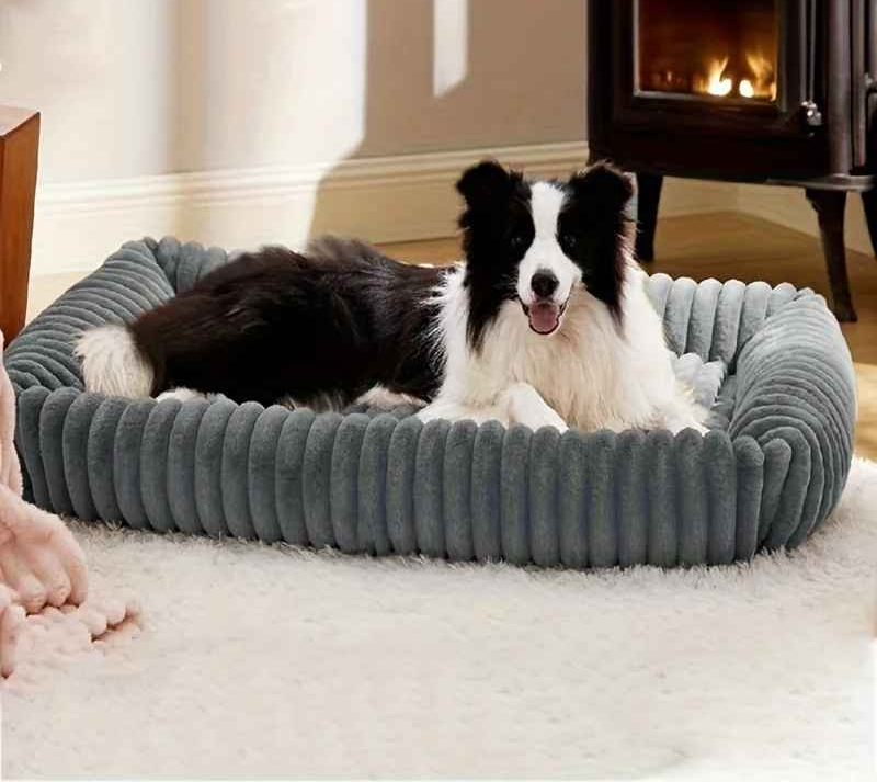 Panier Chien | ZenDog