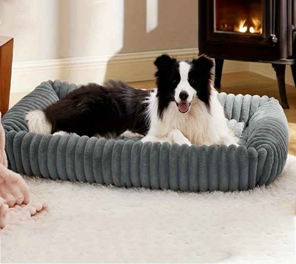 Panier Chien | ZenDog