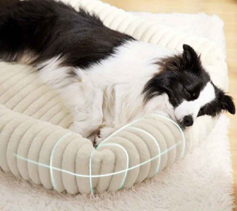 Panier Chien | ZenDog