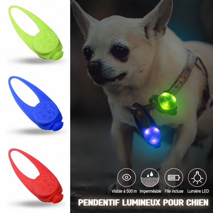 Pendentif lumineux pour Chien | NightVision