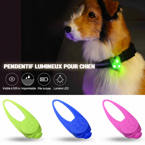 Pendentif lumineux pour Chien | NightVision