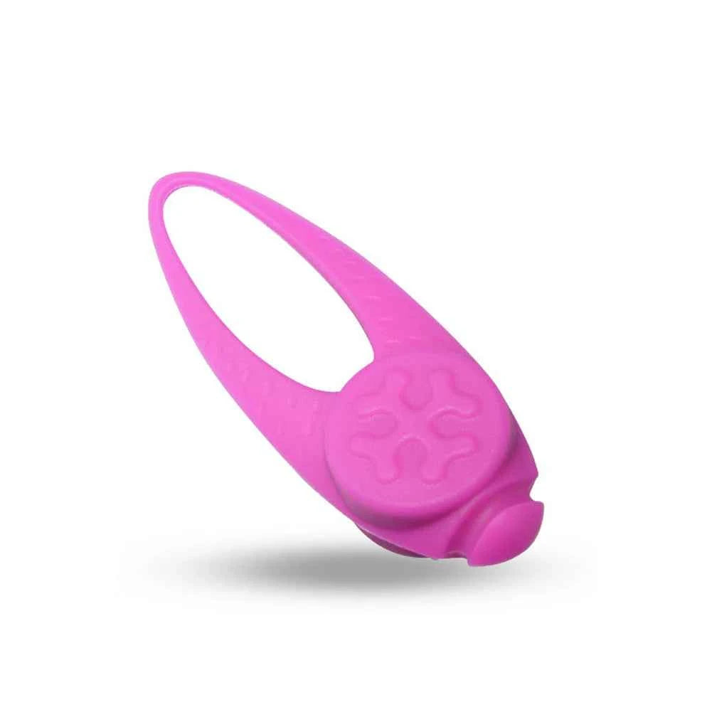 Pendentif lumineux pour Chien | NightVision