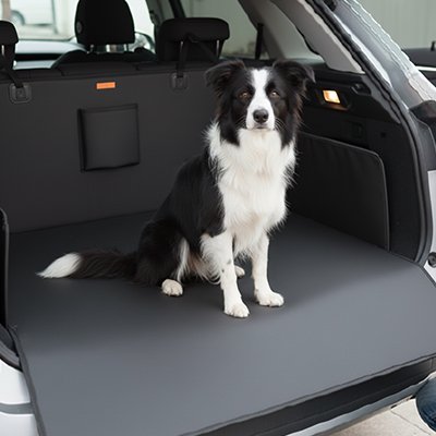 Protection chien voiture doux