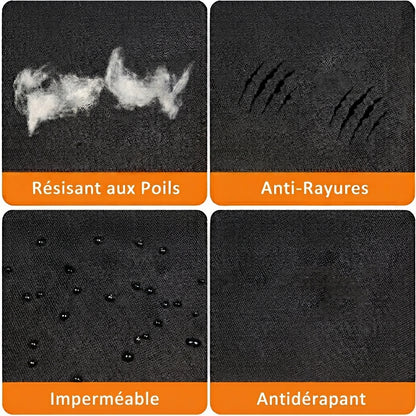 protection chien voiture driveclean impermeable anti rayure