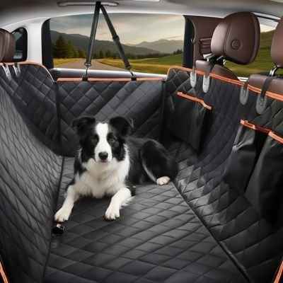 protection voiture chien stabilité confort
