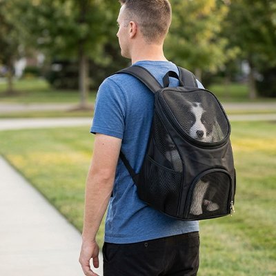 Sac a dos chien leger