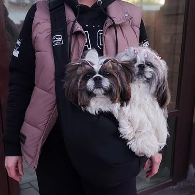 sac de transport pour chien reglable