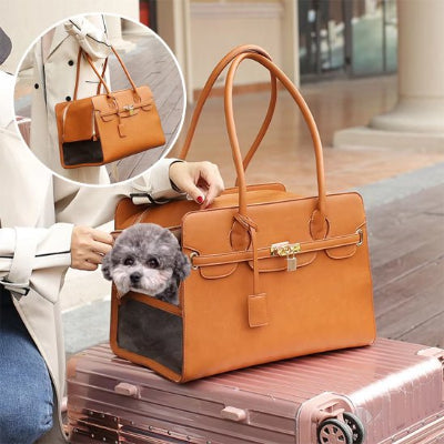 Sac de transport pour chien sacamain