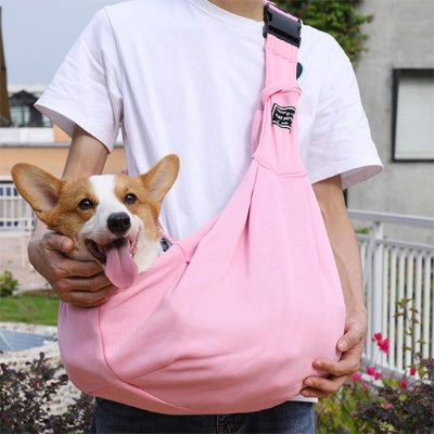 sac de transport pour chien voyage