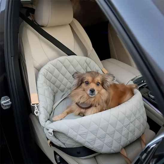 Sac de transport pour chien | LuxCarry