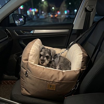 siège auto pour chien confortable et chaud