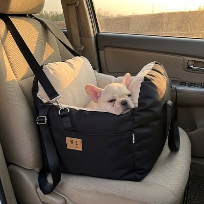 siège auto pour chien solide  securitaire