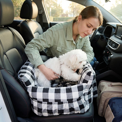 siège auto chien avec ceinture de sécurité douilette et rembouré