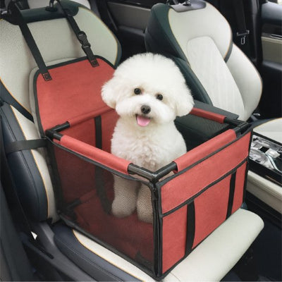 siege auto chien​ confort