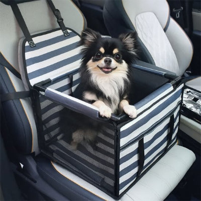 siege auto chien​ rigide