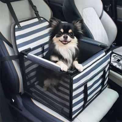 SIEGE AUTO POUR CHIEN | PAWSEAT