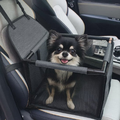 siege auto chien​ securitaire