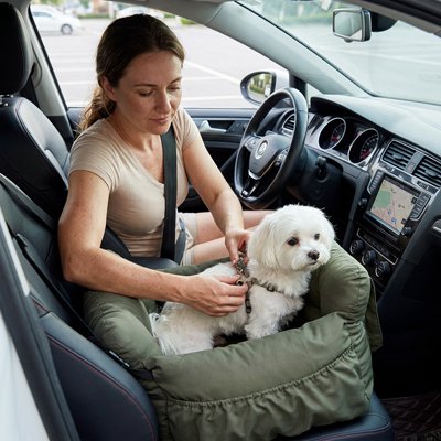 Siege auto pour chien avec ceinture de sécurité