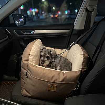Siège Auto pour Chien confortable et chaud