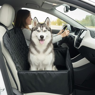 siege auto pour chien couleur noire
