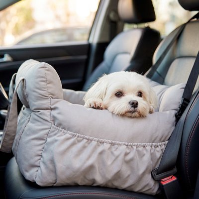 Siège auto pour chien en gris