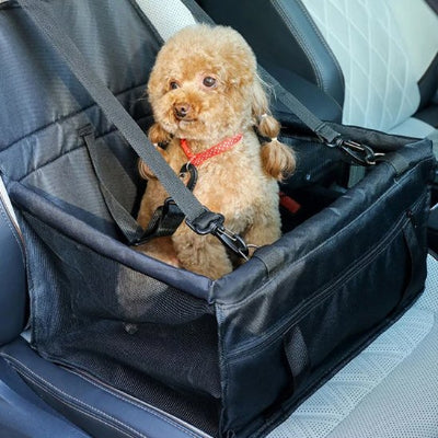 Siege auto pour chien hamac pliant securitaire