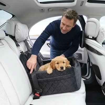 SIEGE AUTO POUR CHIEN | Easy travel